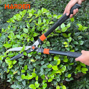 Explore Quality Garden Tools - Enhance Your Outdoor Space with Reliable Equipment