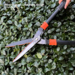 Hedge Shear Supplier in Dubai, UAE