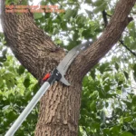 Harden Tree Trimmer with Telescopic Handle - Image 3