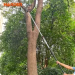 Harden Tree Trimmer with Telescopic Handle - Image 2